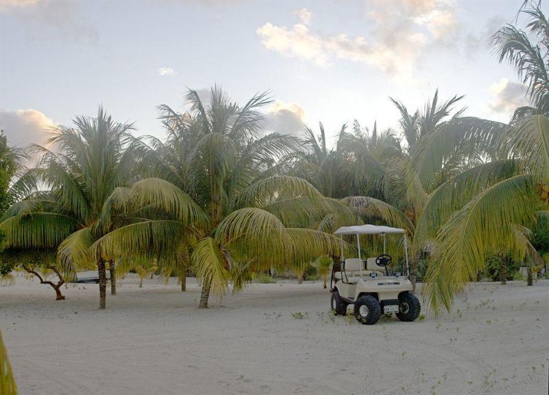 Hotel Coco -