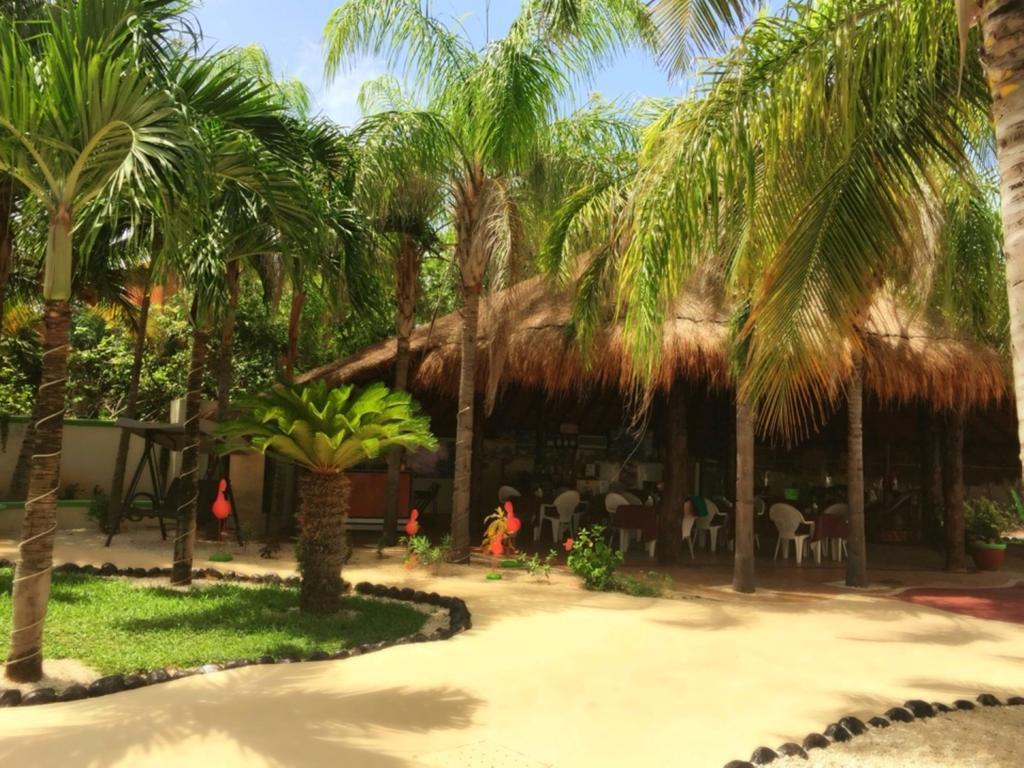 Coco - Hotel Isla Mujeres