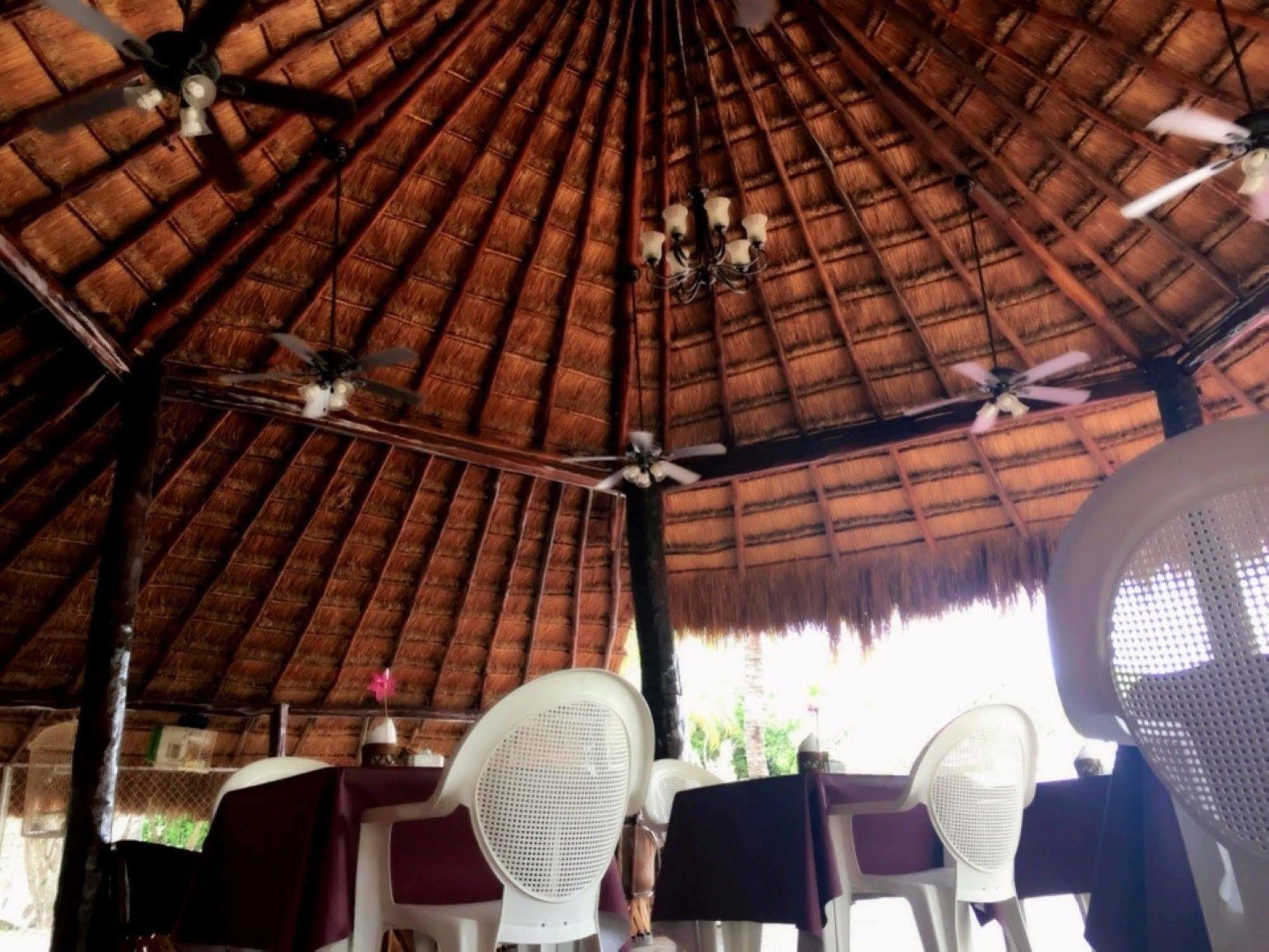 Coco - Hotel Isla Mujeres