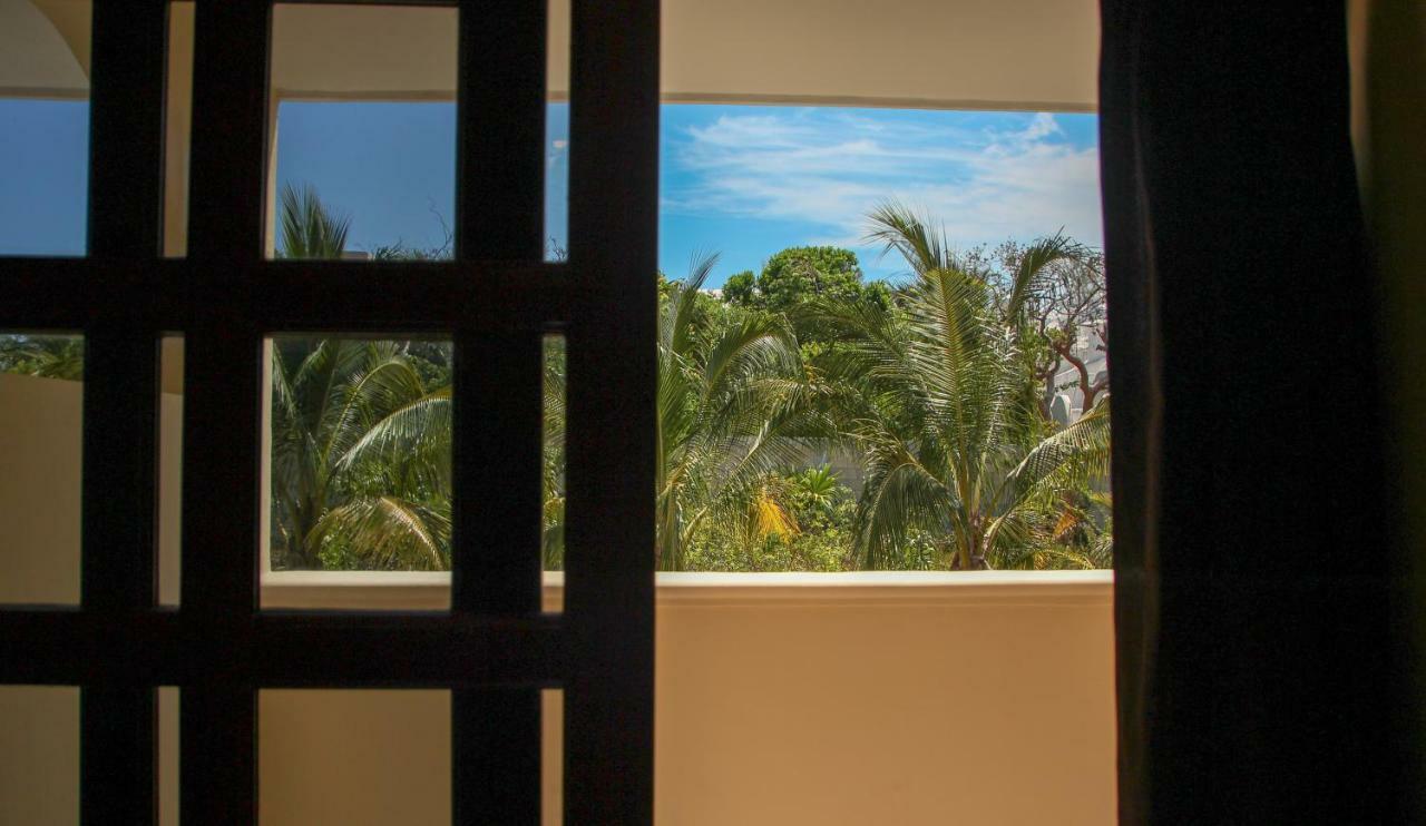 Coco - Isla Mujeres
