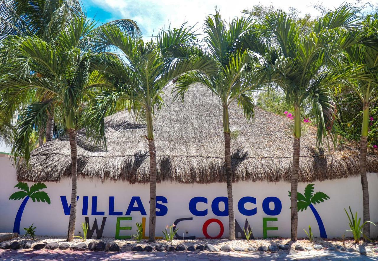 Coco - Isla Mujeres